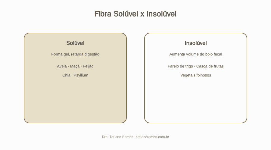 Fibras para o Intestino Funcionar 4 Esquema comparando fibra solúvel e insolúvel para funcionamento do intestino